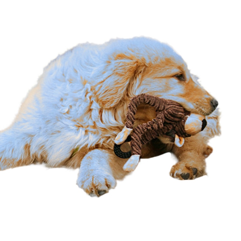 Animaux de compagnie chien jouets ventouse en caoutchouc chien mâcher jouets balle pour animaux de compagnie remorqueur jouet dent nettoyage mâcher chiot jouet pour animaux de compagnie remorqueur cor