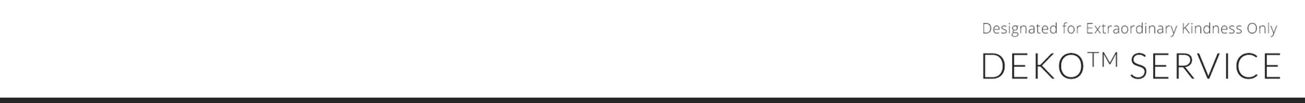 DEKO nouveau Sharker 20V perceuse visseuse sans fil tournevis Mini pilote d'alimentation sans fil batterie Lithium-Ion cc 18 + 1 réglages