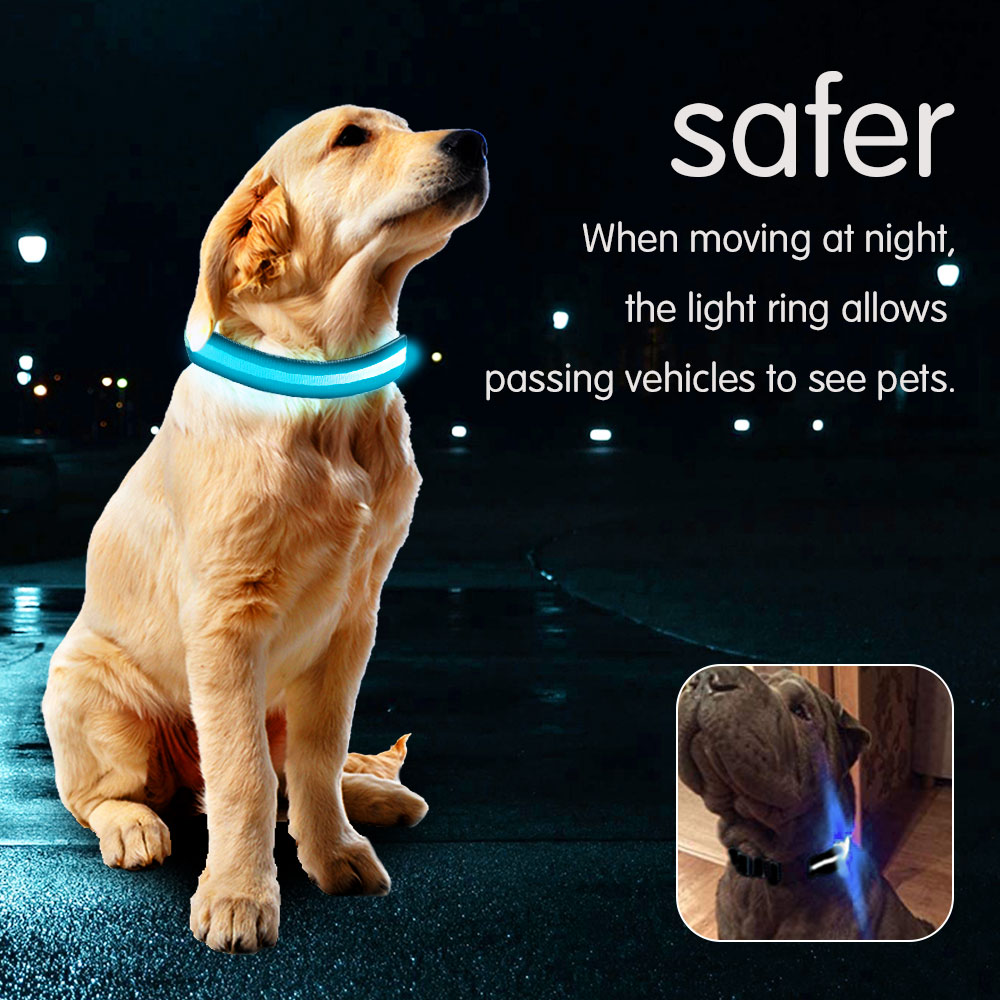 Collier de chien LED avec USB chargeant des lumières colorées colliers Anti-perte sûrs pour chiot chaton chiens colliers de plomb 7 lumières produits pour animaux de compagnie