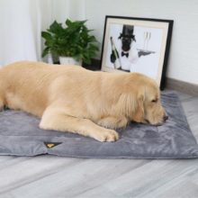 Tapis pour animaux de compagnie couverture auto-chauffant coussins pour animaux de compagnie chien couverture chat lit animal de compagnie tapis thermique couverture pour chiot chien chats tapis de li