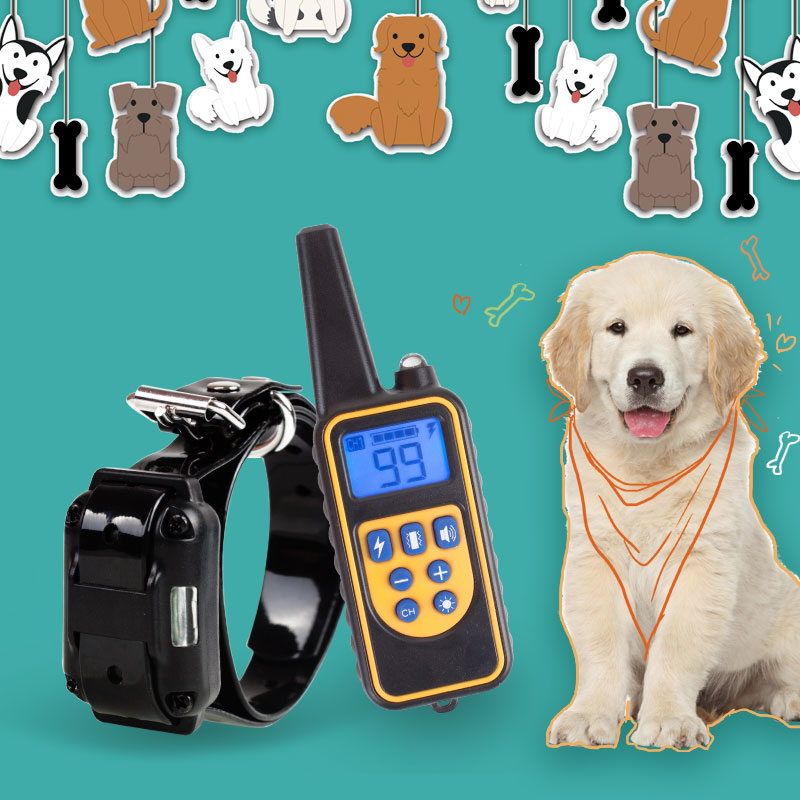 800m collier de dressage de chien collier dressage électrique pour animaux de compagnie télécommande étanche Rechargeable avec écran LCD pour tous les sons de Vibration de choc de taille 800m collier de dressage de chien collier dressage électrique pour animaux de compagnie télécommande étanche Rechargeable avec écran LCD pour tous les sons de Vibration de choc de taille