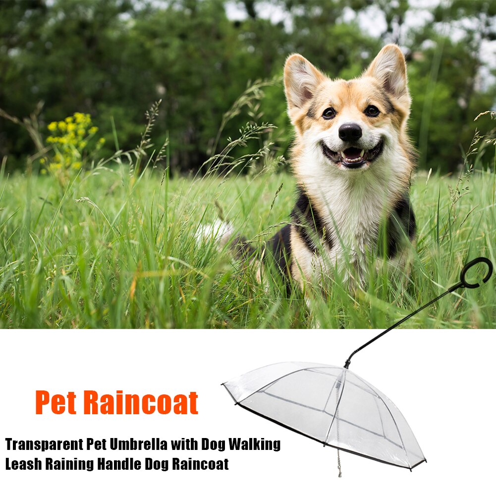 Laisse de marche Transparent ensemble de parapluie pour animaux de compagnie poignée extérieure chien imperméable ménage animaux chiens ornements pour pleuvoir