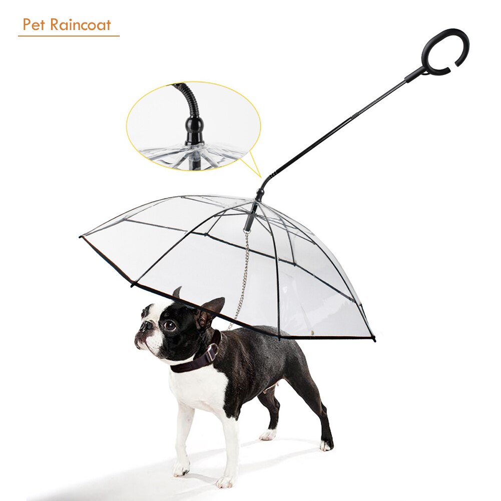 Laisse de marche Transparent ensemble de parapluie pour animaux de compagnie poignée extérieure chien imperméable ménage animaux chiens ornements pour pleuvoir