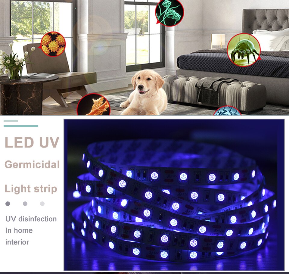 Bande lumineuse de stérilisation à 600 LED UVC, 5 mètres, 12V, ruban de lumière, nm