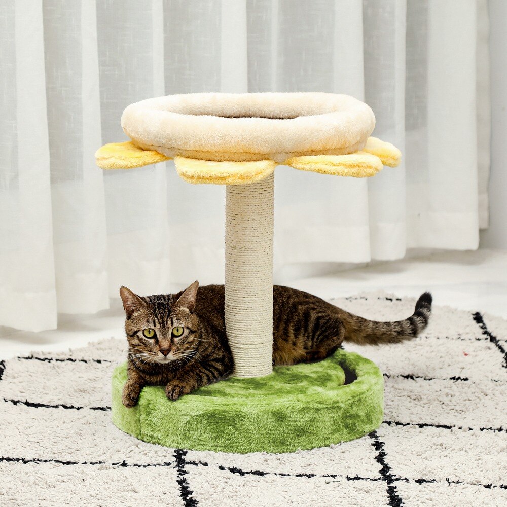 Arbre à chat en forme de Cactus, jouets pour animaux de compagnie, avec poteaux à gratter, pour chats, chaton, escalade, jouet de protection, livraison rapide Arbre à chat en forme de Cactus, jouets pour animaux de compagnie, avec poteaux à gratter, pour chats, chaton, escalade, jouet de protection, livraison rapide