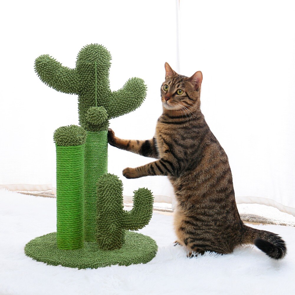 Arbre à chat en forme de Cactus, jouets pour animaux de compagnie, avec poteaux à gratter, pour chats, chaton, escalade, jouet de protection, livraison rapide Arbre à chat en forme de Cactus, jouets pour animaux de compagnie, avec poteaux à gratter, pour chats, chaton, escalade, jouet de protection, livraison rapide