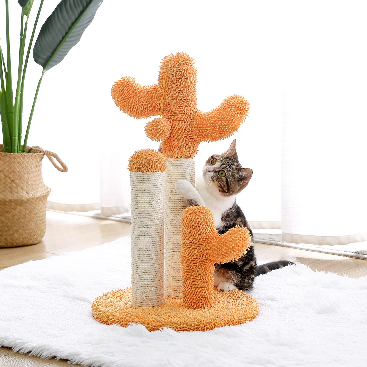 Arbre à chat en forme de Cactus, jouets pour animaux de compagnie, avec poteaux à gratter, pour chats, chaton, escalade, jouet de protection, livraison rapide Arbre à chat en forme de Cactus, jouets pour animaux de compagnie, avec poteaux à gratter, pour chats, chaton, escalade, jouet de protection, livraison rapide