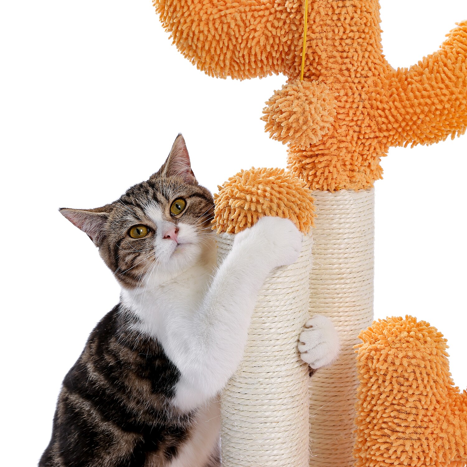 Arbre à chat en forme de Cactus, jouets pour animaux de compagnie, avec poteaux à gratter, pour chats, chaton, escalade, jouet de protection, livraison rapide Arbre à chat en forme de Cactus, jouets pour animaux de compagnie, avec poteaux à gratter, pour chats, chaton, escalade, jouet de protection, livraison rapide