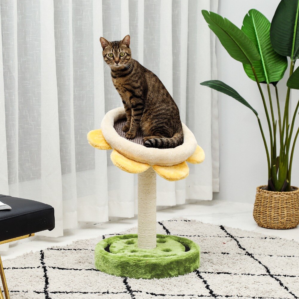 Arbre à chat en forme de Cactus, jouets pour animaux de compagnie, avec poteaux à gratter, pour chats, chaton, escalade, jouet de protection, livraison rapide Arbre à chat en forme de Cactus, jouets pour animaux de compagnie, avec poteaux à gratter, pour chats, chaton, escalade, jouet de protection, livraison rapide