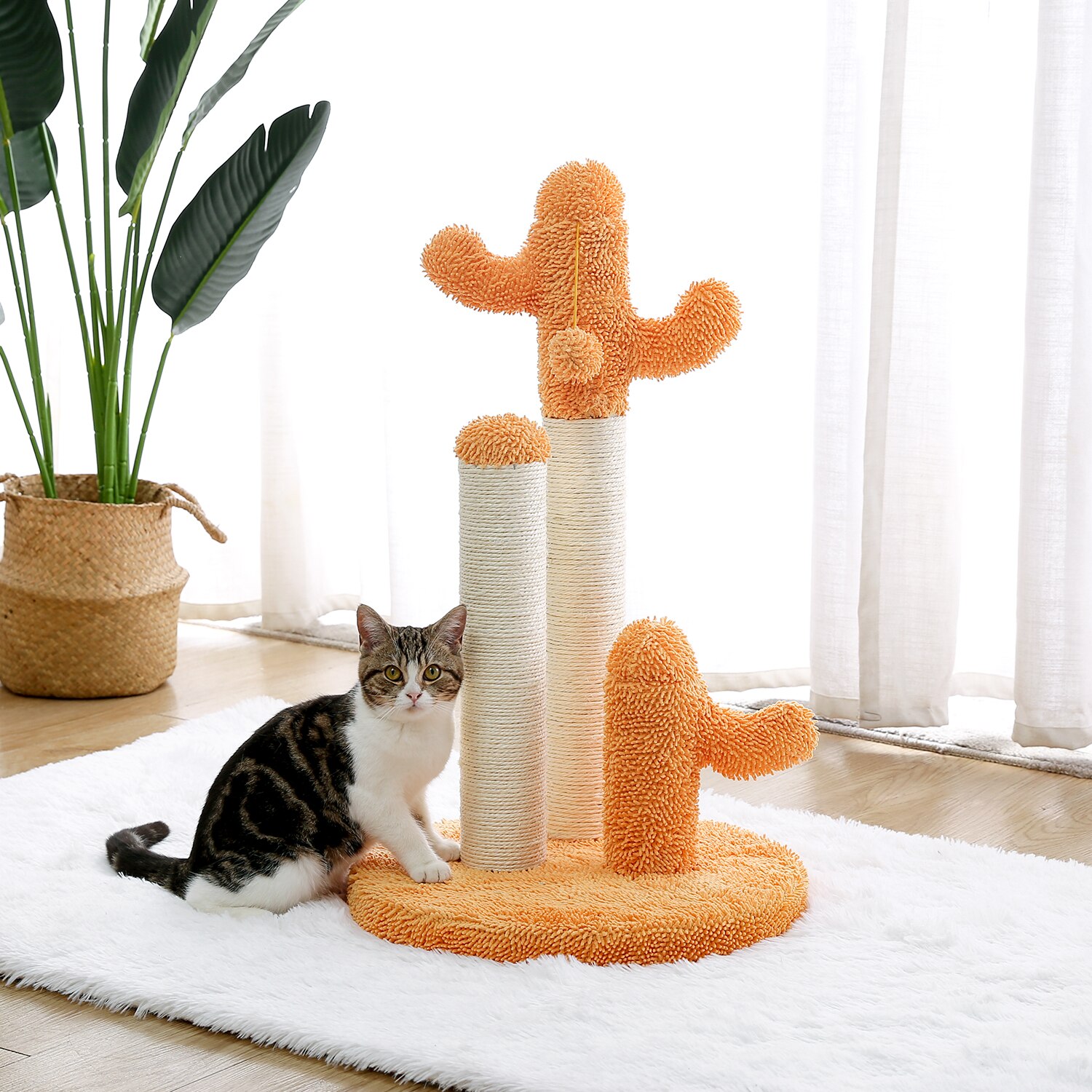 Arbre à chat en forme de Cactus, jouets pour animaux de compagnie, avec poteaux à gratter, pour chats, chaton, escalade, jouet de protection, livraison rapide Arbre à chat en forme de Cactus, jouets pour animaux de compagnie, avec poteaux à gratter, pour chats, chaton, escalade, jouet de protection, livraison rapide