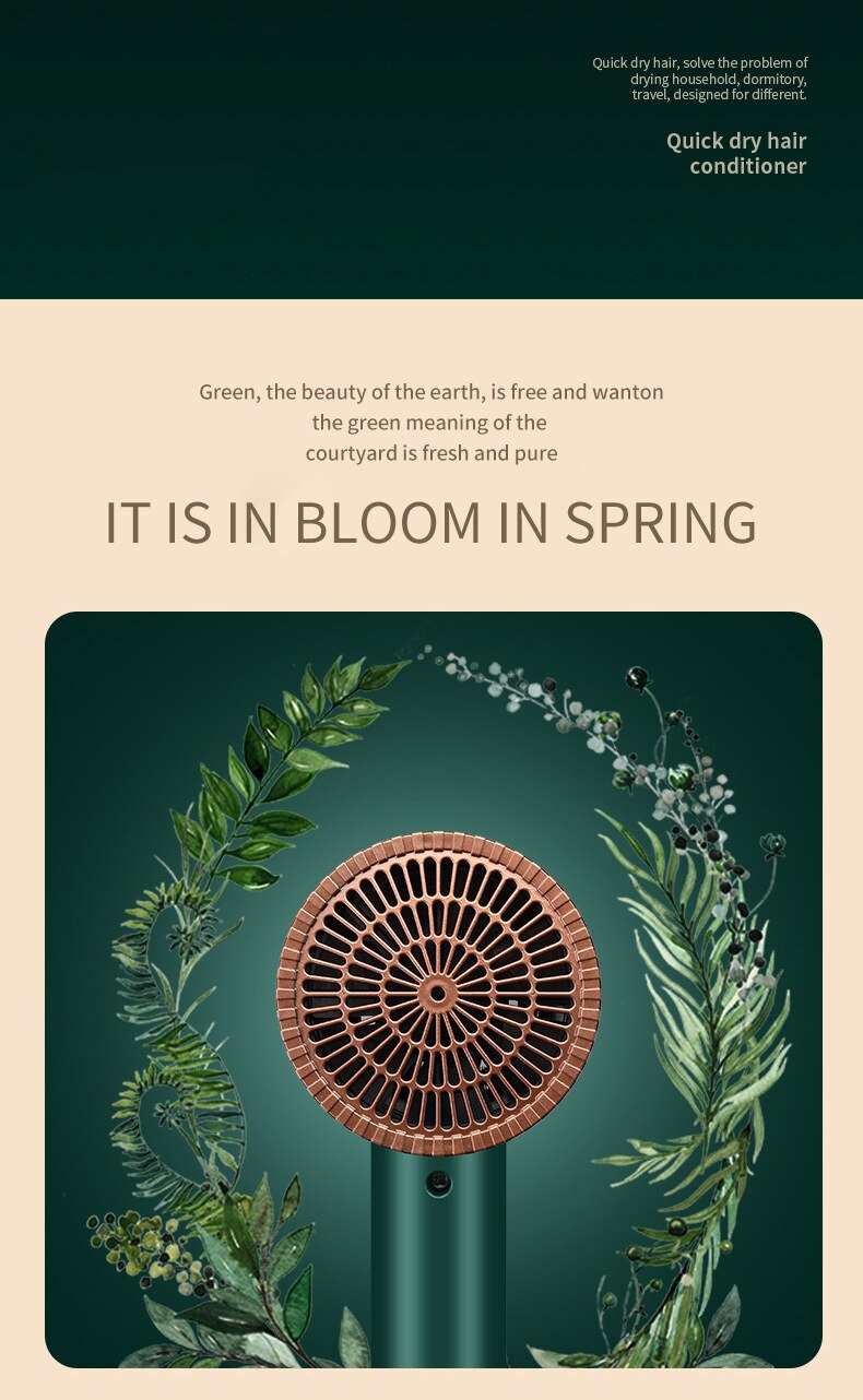 Sèche-cheveux ménage sèche-cheveux chauffage et refroidissement Air sèche-cheveux appareils ménagers haute puissance bleu lumière Anion européen Sta