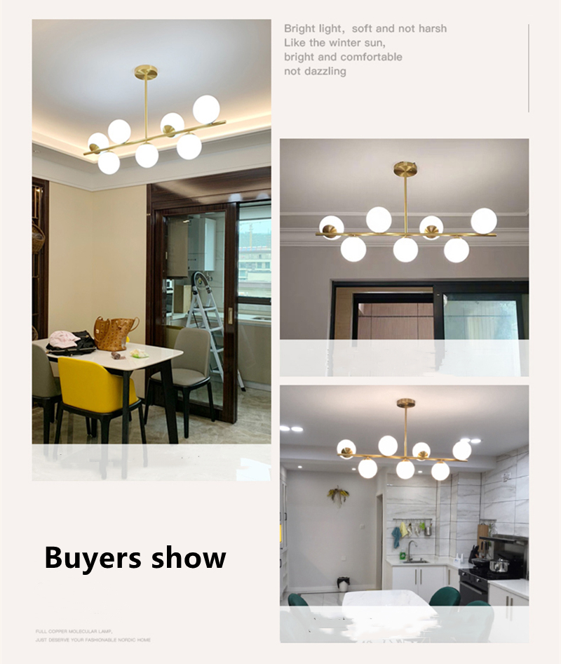 en Forme de Haricot Magique